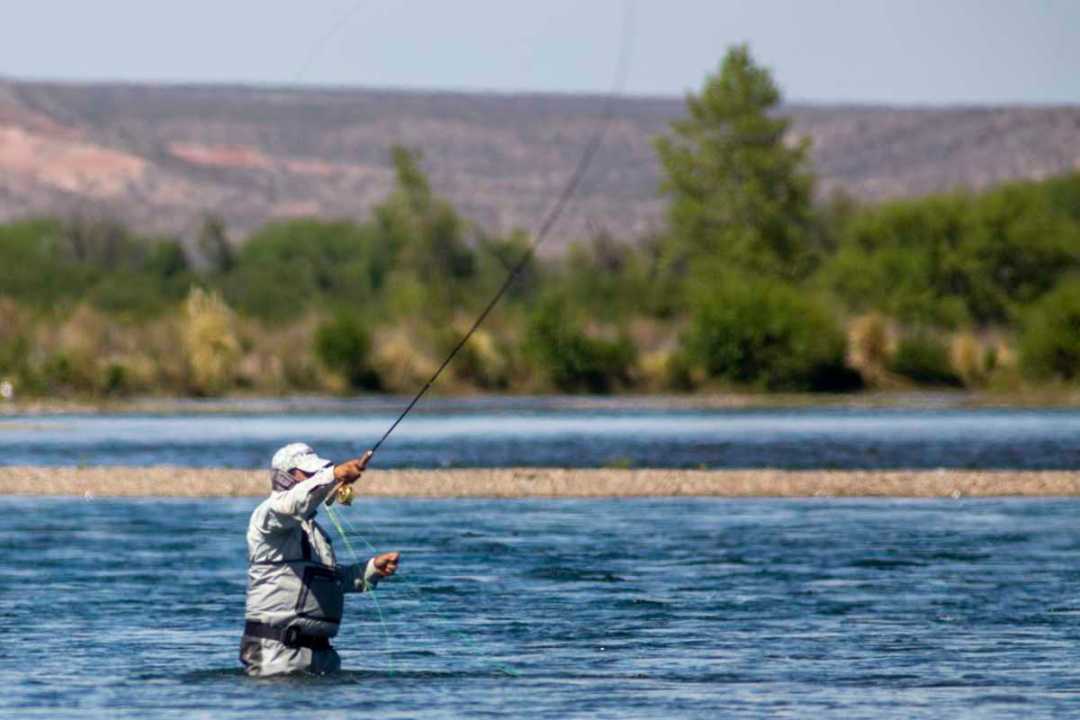 Explorando la pesca en el Limay Medio, joya patagónica