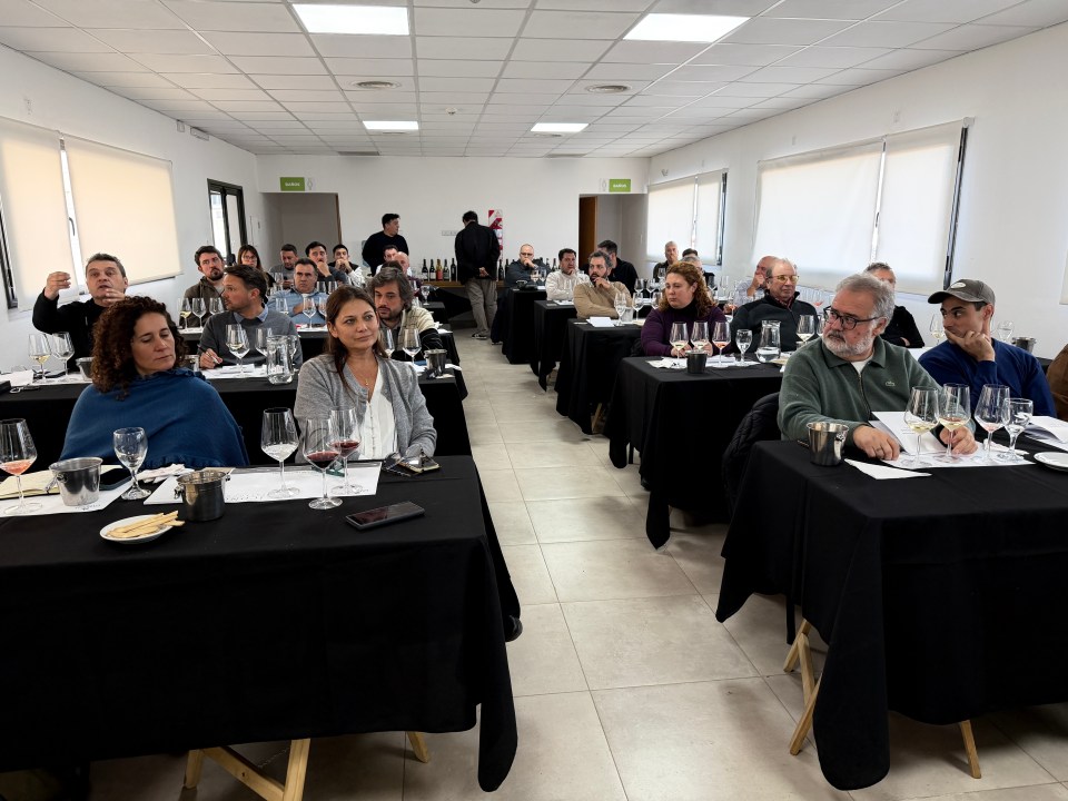 Encuentro vitivinícola en el Alto Valle para destacar los vinos patagónicos