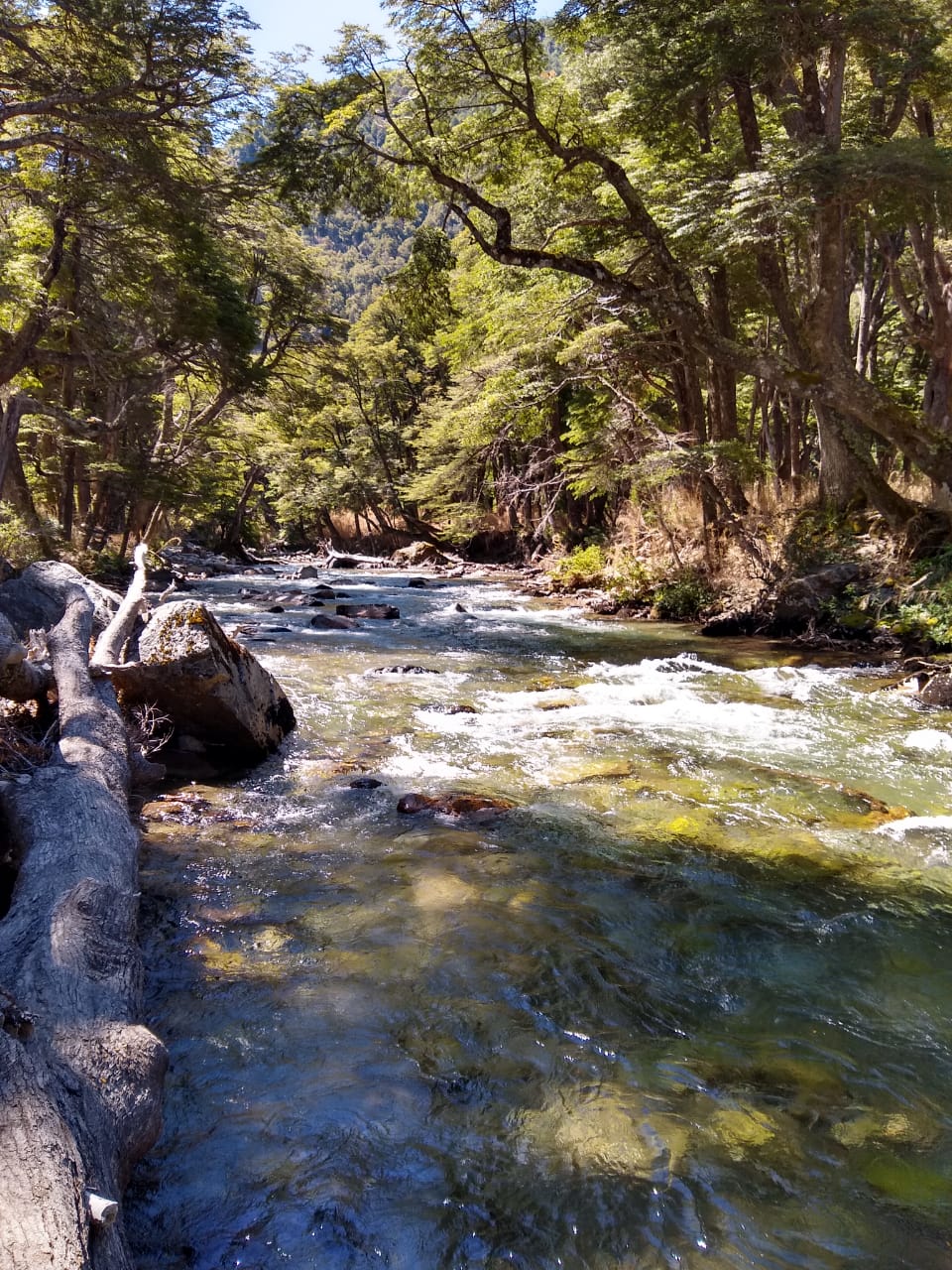 Descubrí Villa La Angostura, el Jardín de la Patagonia