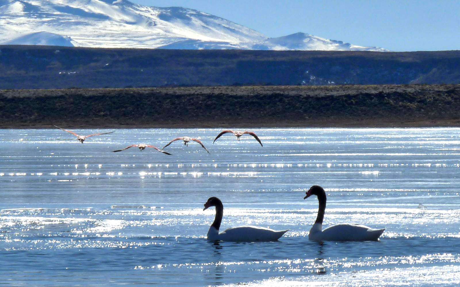 Descubrí la riqueza natural del Parque Nacional Laguna Blanca